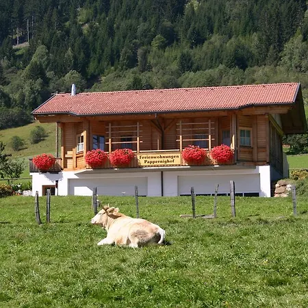 Apartment Suntinger *